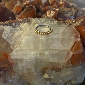 Anatometal Vaughn Seam Ring SS 18k Rose Gold 3/8” Diameter